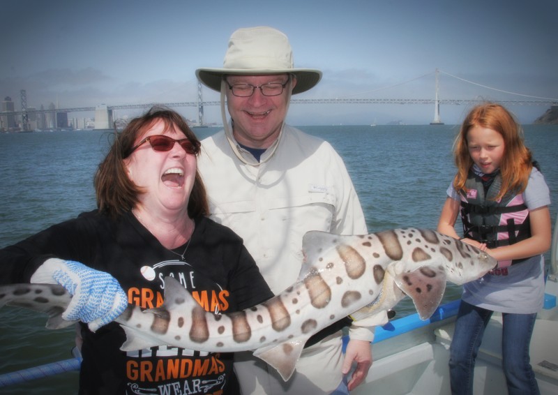Guided Leopard Shark Fishing in San Francisco