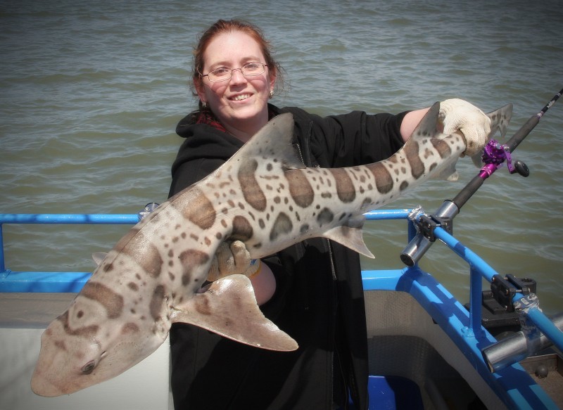 San Francisco Leopard Shark Fishing Trip