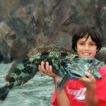 Fishing for Lingcod on San Francisco Bay