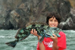 Fishing for Lingcod on San Francisco Bay