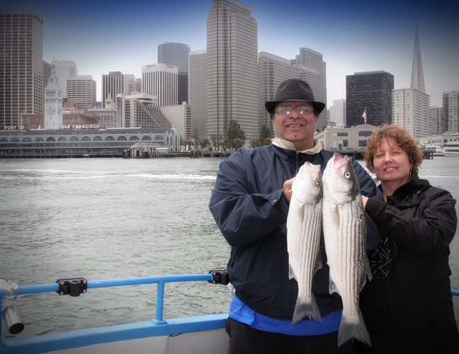 Striped Bass Fishing in San Francisco