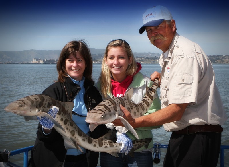 San Francisco Leopard Shark Fishing Charter