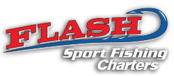 sf-flashfishing-logo