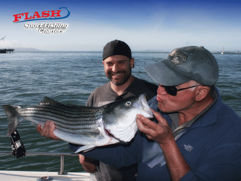 White Sea Bass Fishing Trips in San Francisco Bay