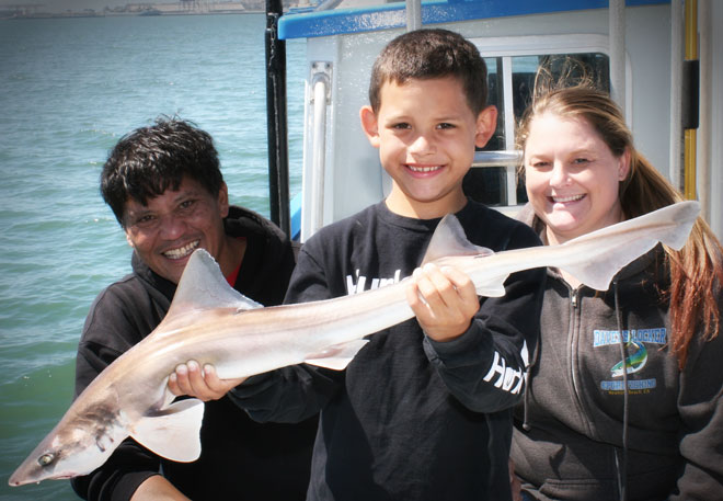 Family Fishing Trips for Soupfin Sharks on San Francisco Bay