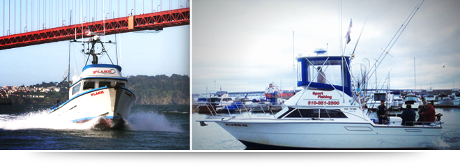 Our 32 Foot Charter Boat Flash Fishing's Charter Boats San Francisco