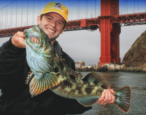 Fishing Trips near Golden Gate Bridge