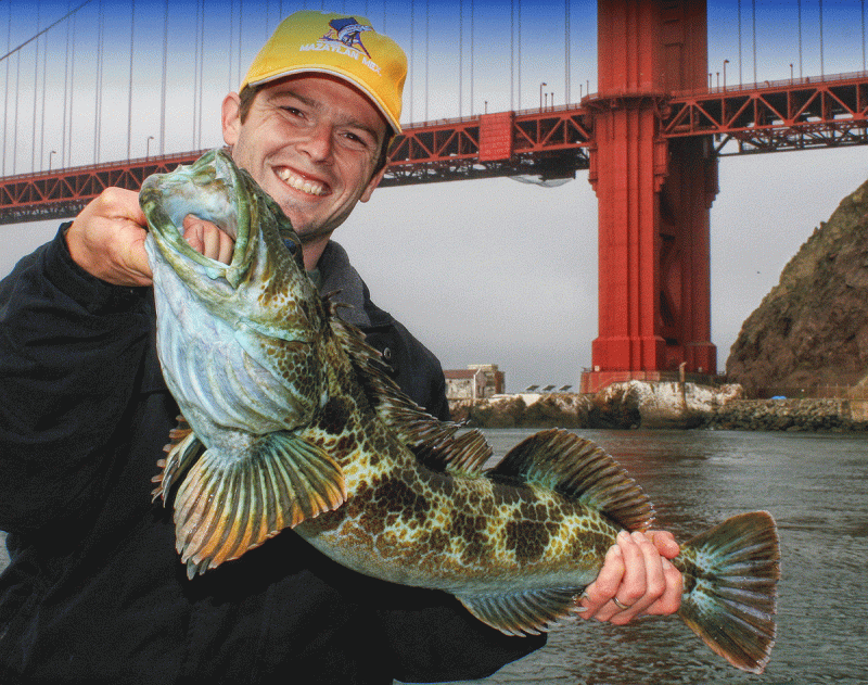 Rockfish & Deep Sea Fishing San Francisco at Flash Sport Fishing