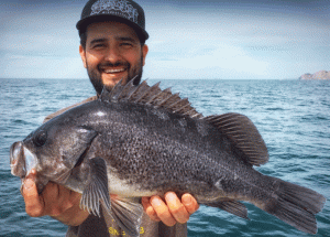 Rockfish Fishing in San Francisco