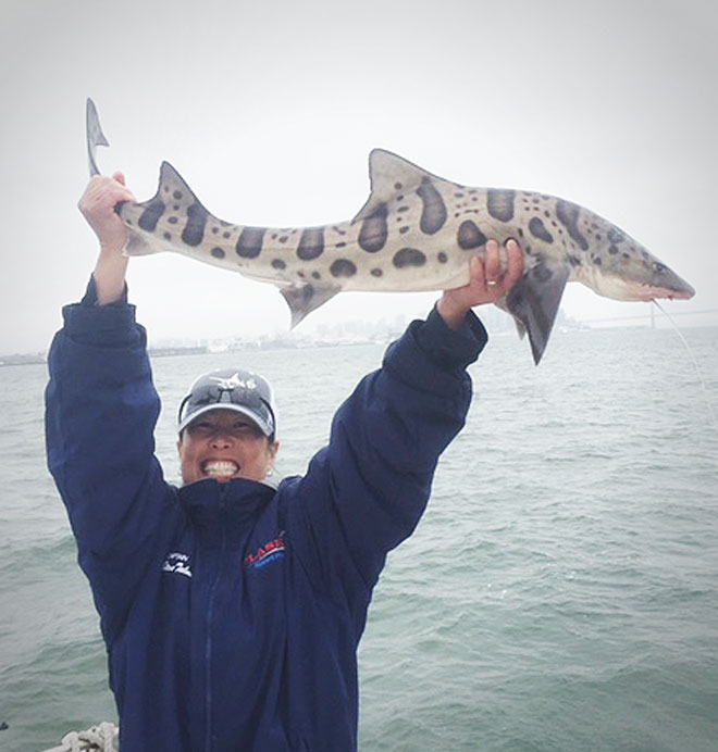 San Francisco Bay Leopard Shark Fishing