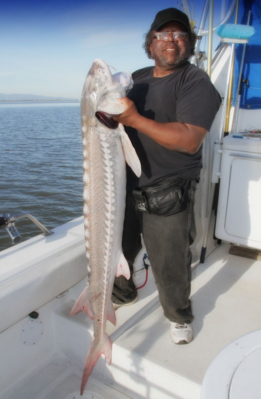 San Francisco Bay Great White Sturgeon Fishing Trip