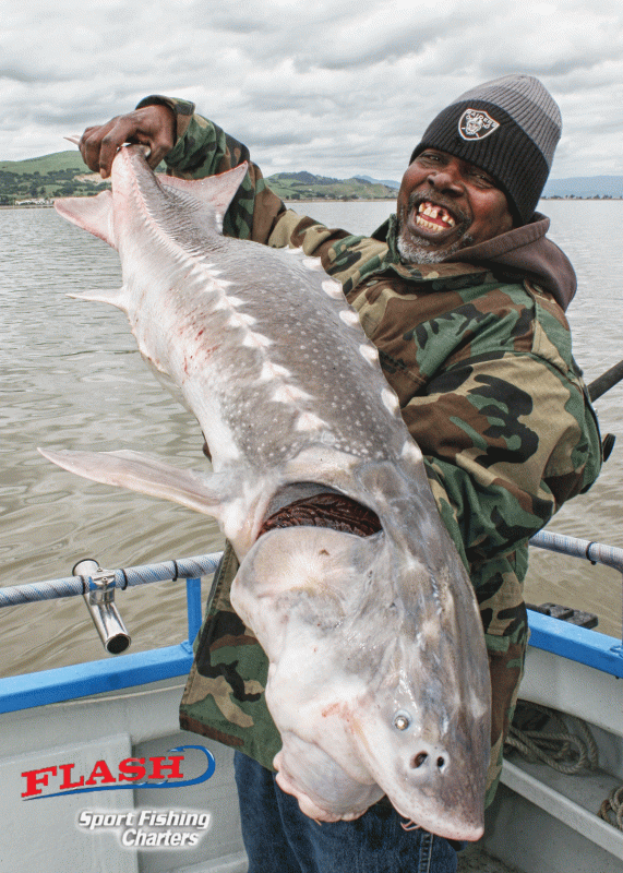 Guided Great White Sturgeon Fishing Charter on San Francisco Bay
