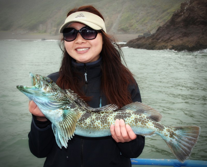 Lingcod Fishing Charter on San Francisco Bay