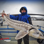 Guided Great White Sturgeon Fishing Trips in San Francisco