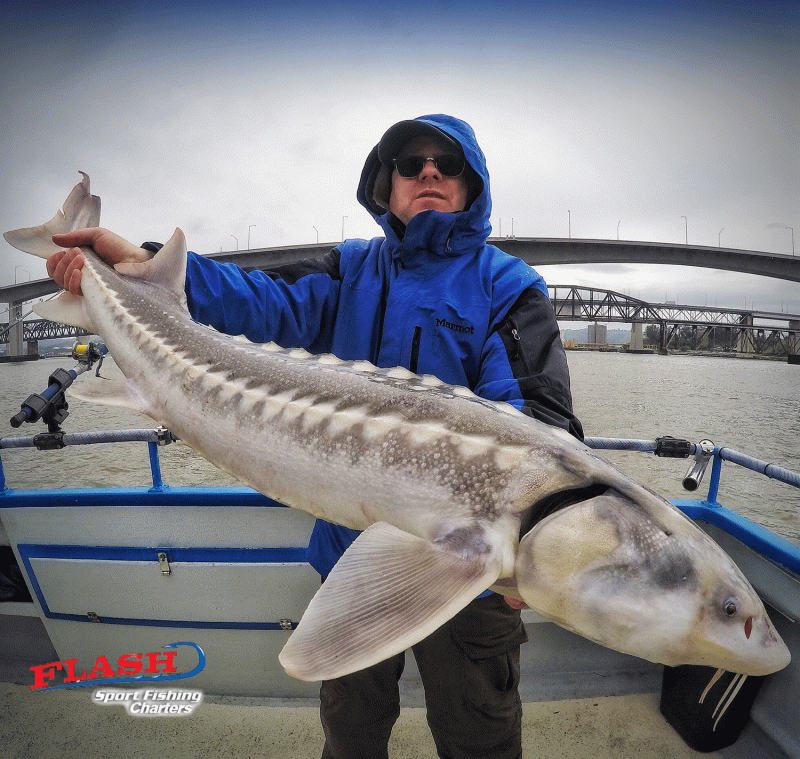 Guided Great White Sturgeon Fishing Trips in San Francisco