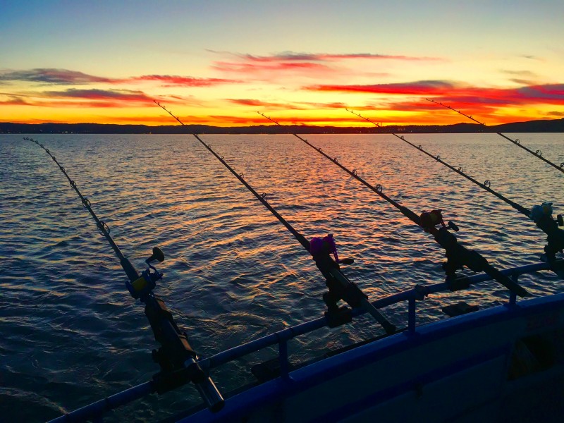 Guided Fishing Trips on San Francisco Bay