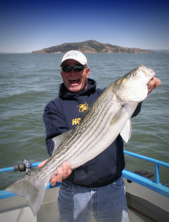 Sea Bass Fishing on San Francisco Bay