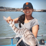 Shark Fishing Trips in San Francisco