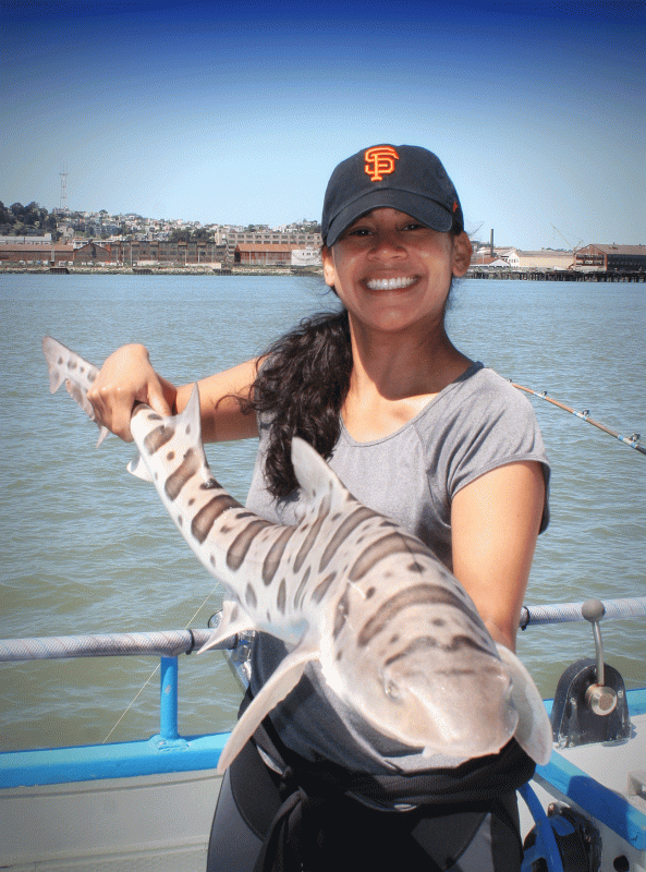 San Francisco Fishing Charters Report 5/2/17 - Flash Sport Fishing Charters