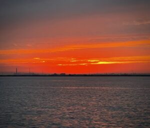 IMG_3372